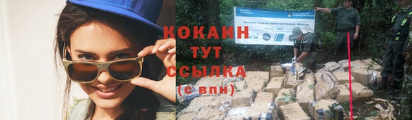 спиды Новодвинск