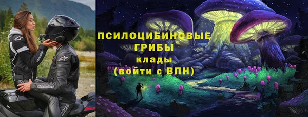Альфа ПВП Нефтекумск