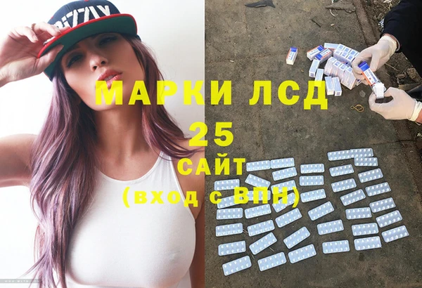 спиды Новодвинск