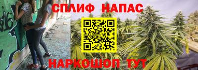 шишки Волгодонск