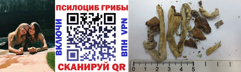 Псилоцибиновые грибы Cubensis  Клинцы 