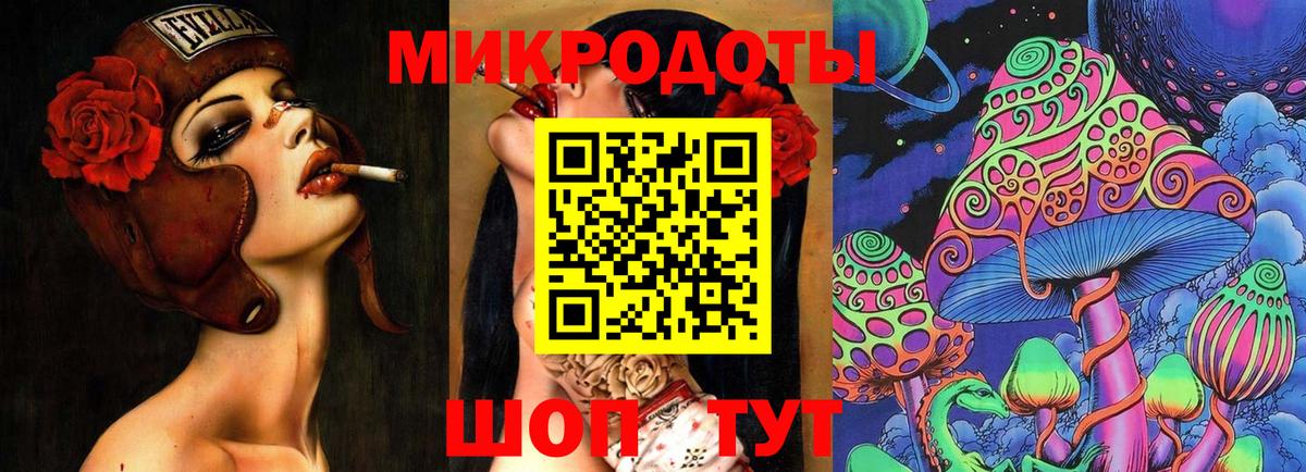 Псилоцибиновые грибы Psilocybe Клинцы