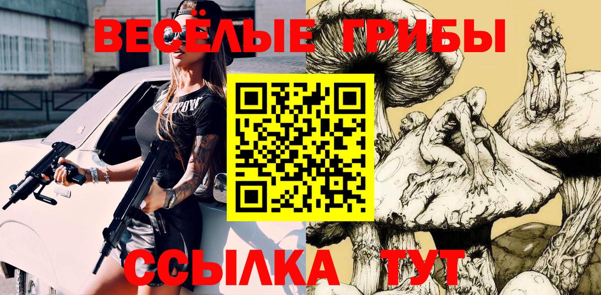 Клинцы  Псилоцибиновые грибы мицелий  Вход с VPN 