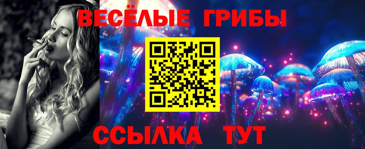 Псилоцибиновые грибы Psilocybe Клинцы